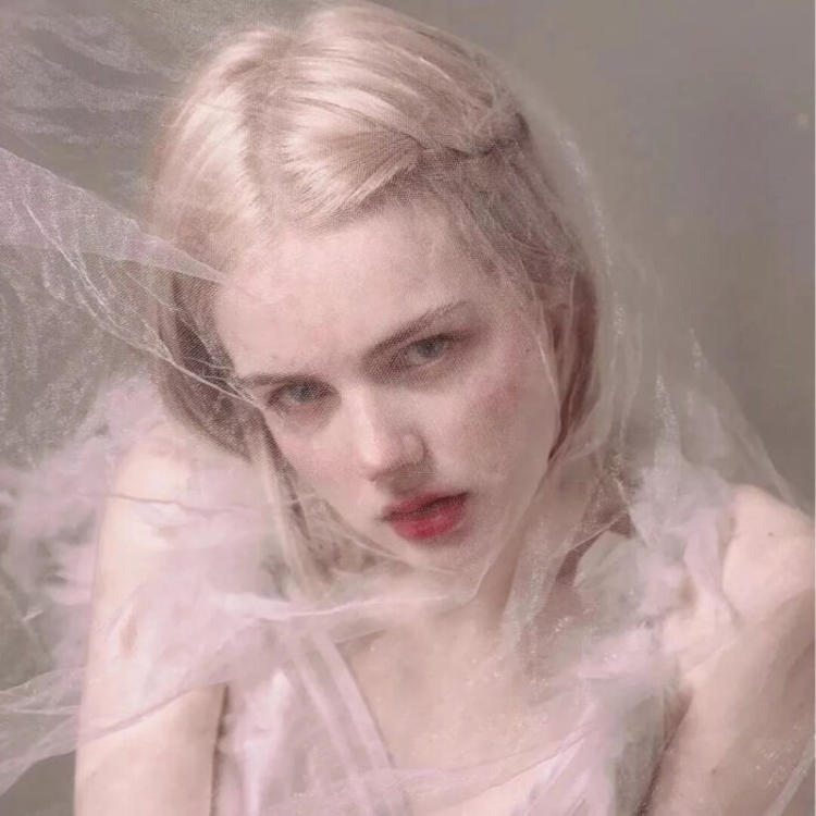 6686体育高级作者淡墨无殇