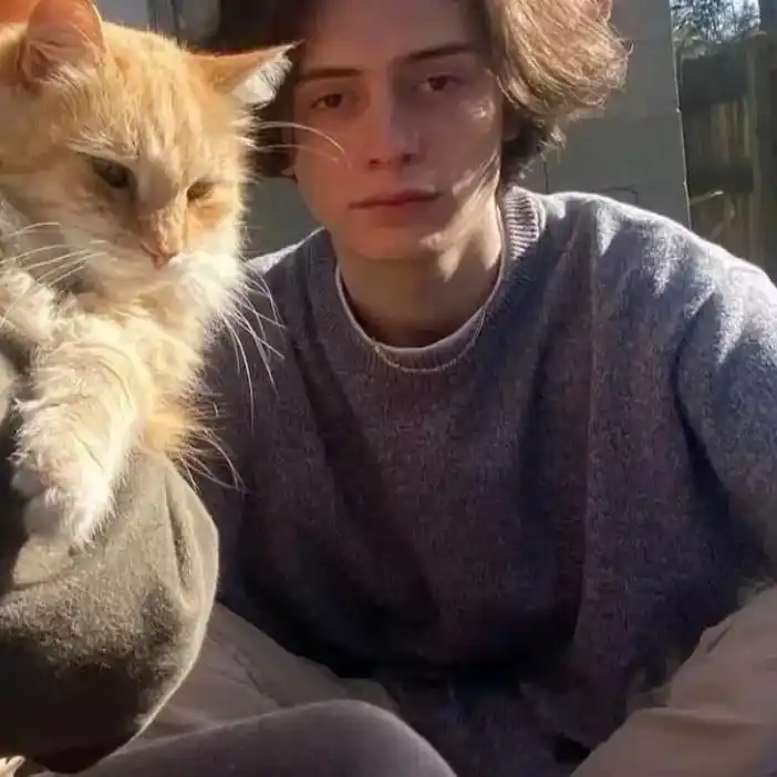 6686体育平台钻石作者Esme