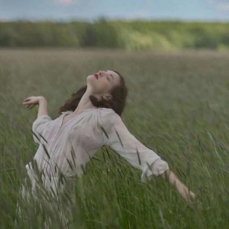 6686体育平台钻石作者九命猫