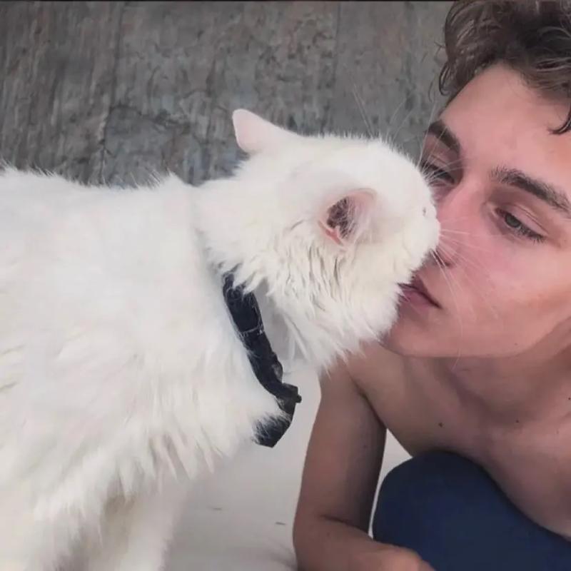 6686体育平台高级作者Logan