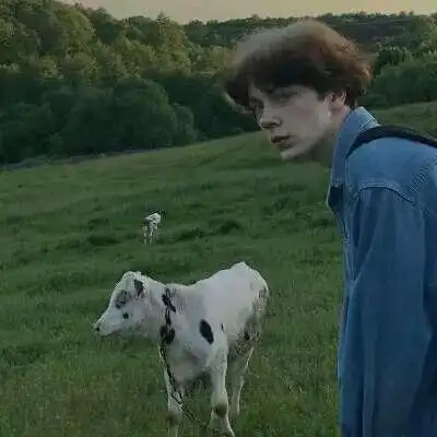 6686体育平台初级作者Avery