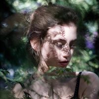 6686体育平台特邀作者Magnus