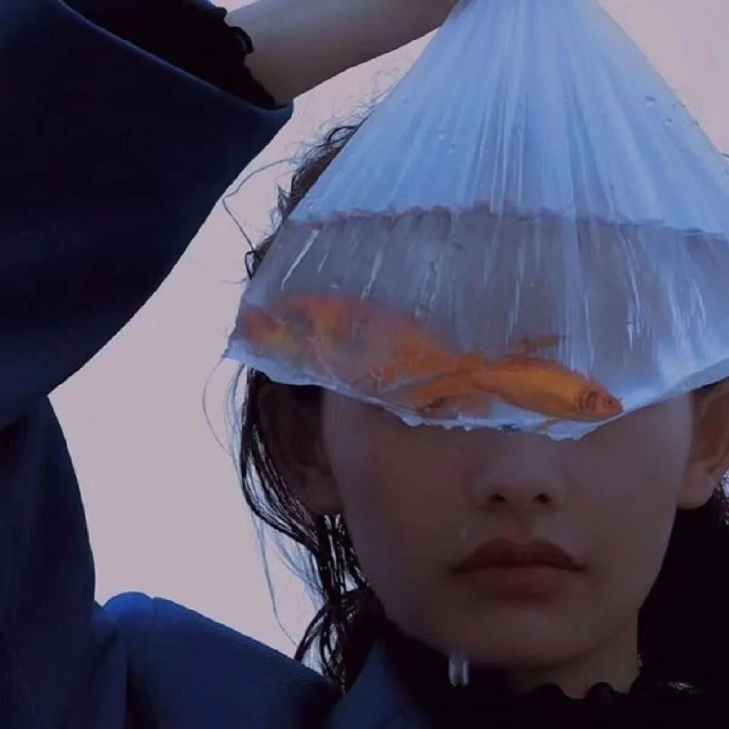 6686体育平台特邀作者Charlotte