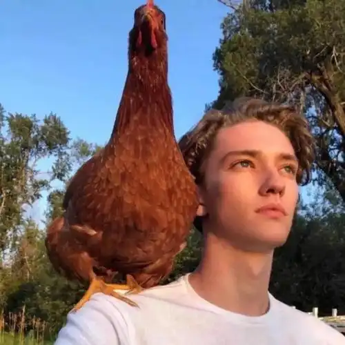 6686体育平台海外作者Benjamin