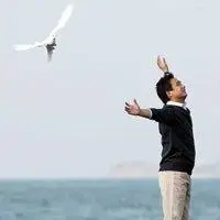 6686体育平台中级作者Isla